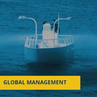 GLOBAL-MANAGEMENT-VICALSA